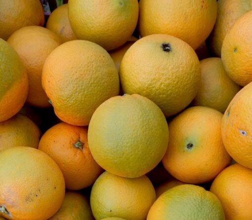 ARANCE BIONDE BIO NAVEL - immagine 9