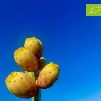 FICHI D'INDIA SICILIANI (BASTARDONI) BIO