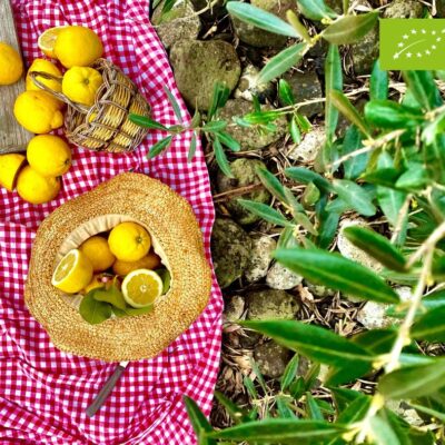 limoni biologici siciliani