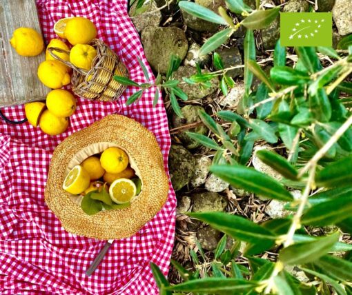 limoni biologici siciliani