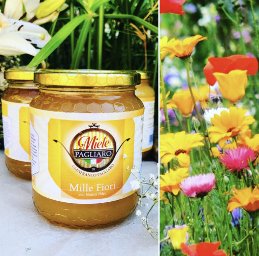 WILDFLOWER HONEY