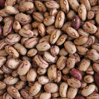 FAGIOLI LOCALI