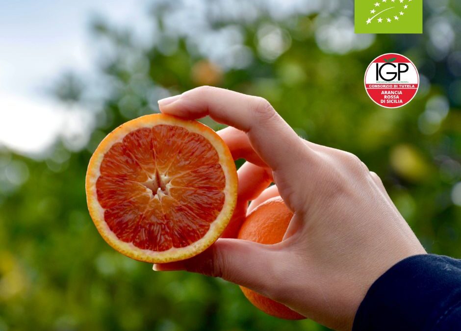 arancia rossa bio da spremuta