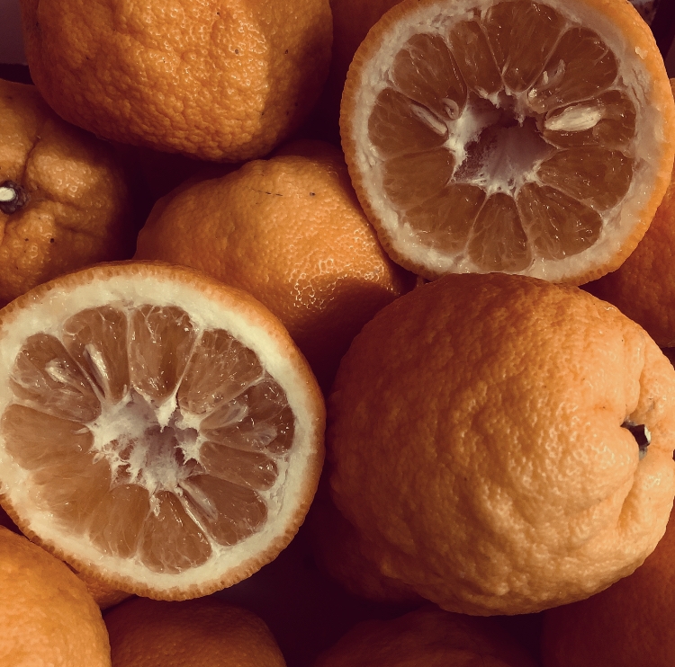 ORGANIC BITTER ORANGES - Image 3
