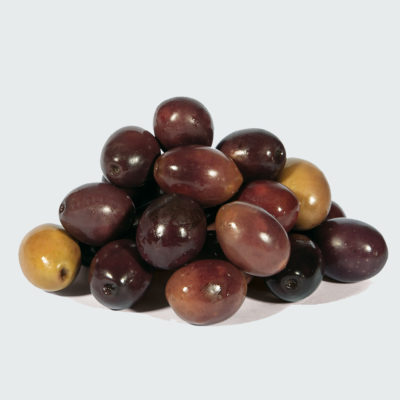 OLIVE NERE IN SALAMOIA