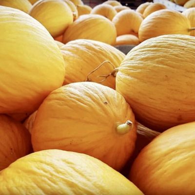 MELONE GIALLO