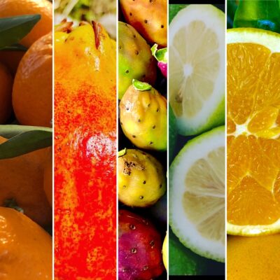 BOX MENSILE DELLA SALUTE