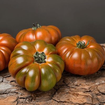 Sicilian salad tomato