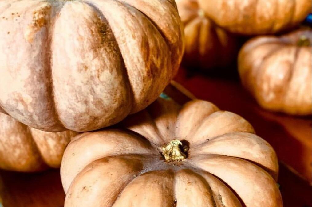 Ricetta Zucca e Salsiccia
