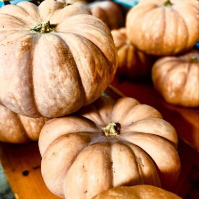 Sicilian Red Pumpkin