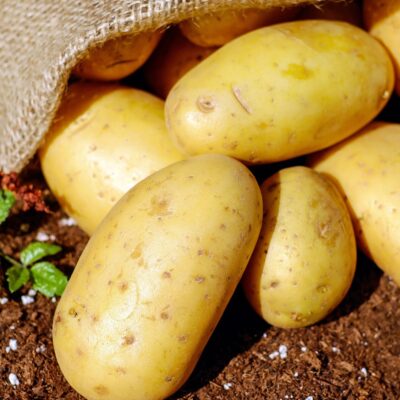 SICILIAN NEW POTATO