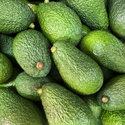 AVOCADO SICILIANO