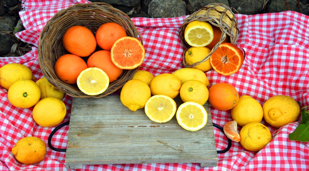 Sicilian citrus fruits characteristics of our organic citrus fruits