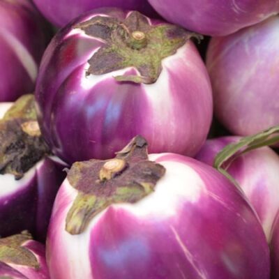 violet aubergine