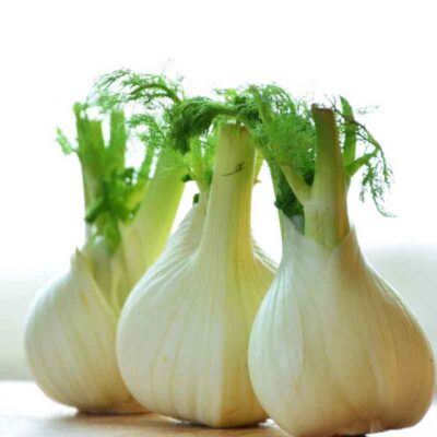 fennel