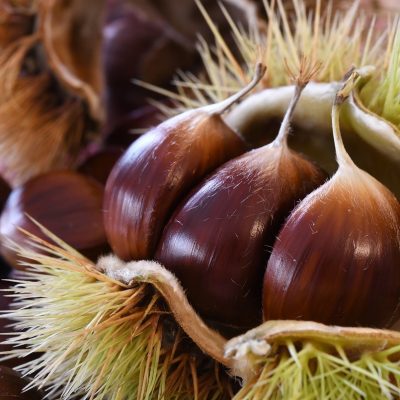 CASTAGNE DELL'ETNA (FRESCHE)